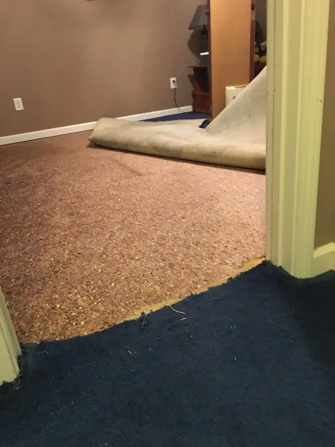 Carpet pad removal revealing water damage during Water Mitigation Services in Fort Atkinson