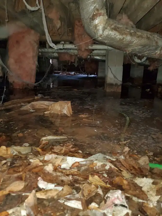 Crawl space flood assessment for Leak Detection & Repair in Fort Atkinson